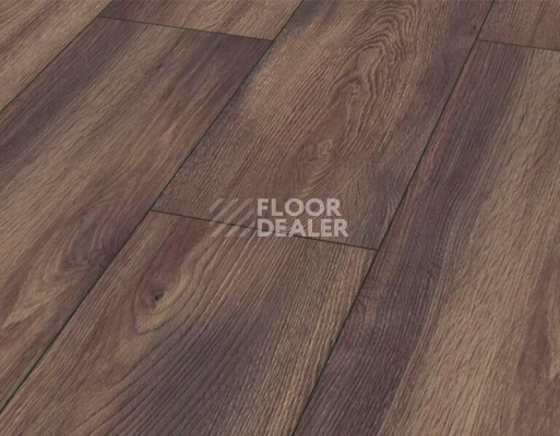 Ламинат Rooms Suite 242 / 8мм Дуб Эльба платиновый RV826WА фото 1 | FLOORDEALER