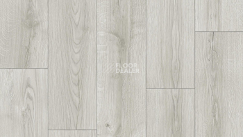 Линолеум Tarkett Caprice Dilan 1 фото 1 | FLOORDEALER