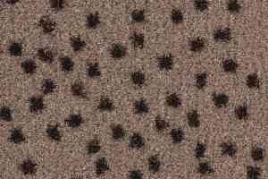 Ковролин Balsan Constellation 770 фото  | FLOORDEALER