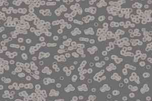 Ковролин Flotex Sottsass Bacteria 990304 фото  | FLOORDEALER