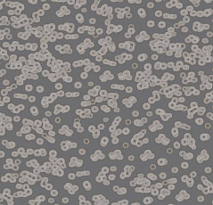 Ковролин Flotex Sottsass Bacteria 990304 фото 1 | FLOORDEALER