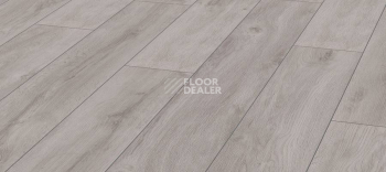 Kronotex Robusto 12мм d4956 Дуб Серый Премиум фото 1 | FLOORDEALER