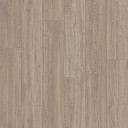 Линолеум Polystyl Polaris FALCON_1  | FLOORDEALER