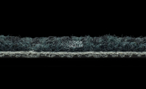 IVC Liberate 699 фото 6 | FLOORDEALER