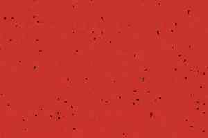 Линолеум Forbo Sphera Energetic 50241 madder red фото  | FLOORDEALER