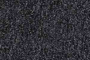 Ковролин Desso Tempra-Brlm 9501 фото  | FLOORDEALER