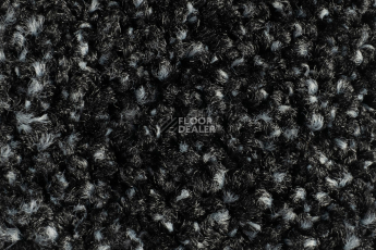 Forbo Coral Luxe 2910 Onyx фото 2 | FLOORDEALER