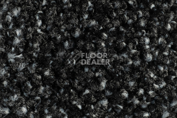 Forbo Coral Luxe 2910 Onyx фото 2 | FLOORDEALER