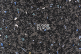 Линолеум Forbo Emerald Spectra 5598 фото 1 | FLOORDEALER
