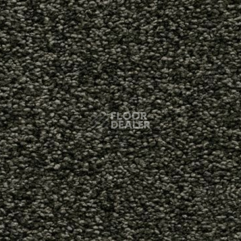 Ковролин Vorwerk Amiru 4e49 фото 1 | FLOORDEALER