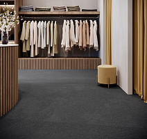 AW Prima AW Prima 49 фото 2 | FLOORDEALER