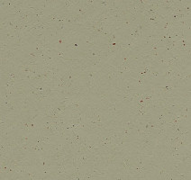 Линолеум Forbo Marmoleum Decibel on Order 359335 matcha фото 1 | FLOORDEALER