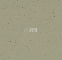 Линолеум Forbo Marmoleum Decibel on Order 359335 matcha фото 1 | FLOORDEALER