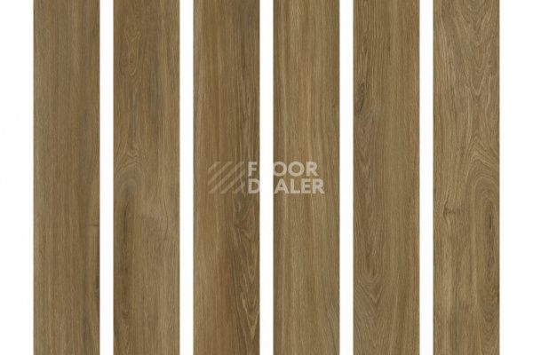Виниловая плитка ПВХ THE FLOOR WOOD P6003 Calm Oak фото 2 | FLOORDEALER