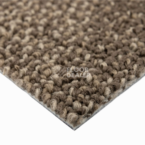Neuflor Sandunes 300506 фото 4 | FLOORDEALER
