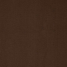 Ковролин Balta ITC President 47 фото 1 | FLOORDEALER