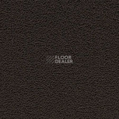 Ковролин Desso Marathon 9511 фото 1 | FLOORDEALER