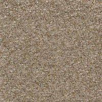 AW Surprise 36 фото 1 | FLOORDEALER