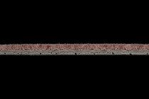 Flotex Colour Penang 50*50 t 382016 Penang Coral фото 4 | FLOORDEALER