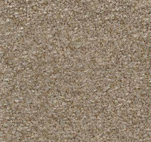 Ковролин AW Surprise 36 фото 1 | FLOORDEALER