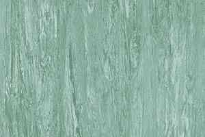 Линолеум Polyflor Xl Pu 3810 фото  | FLOORDEALER