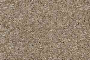 Ковролин AW Surprise 36 фото  | FLOORDEALER