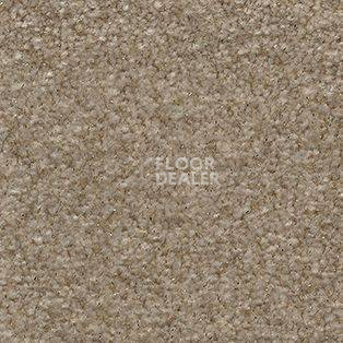 Ковролин AW Surprise 36 фото 1 | FLOORDEALER