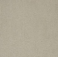 Ковролин Big Nobless 242 фото 1 | FLOORDEALER