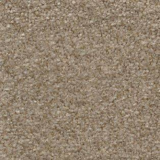 AW Surprise 36 фото 1 | FLOORDEALER