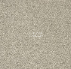 Ковролин Big Nobless 242 фото 1 | FLOORDEALER