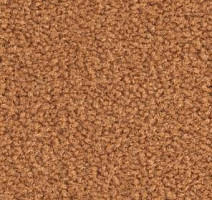 Ковролин Balsan Les Best III Les Best III 445 фото 1 | FLOORDEALER