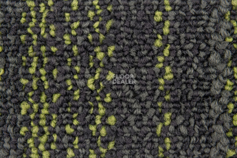 City 2009-13 + New Leaf фото 2 | FLOORDEALER