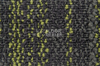 Neuflor City 2009-13 + New Leaf фото 2 | FLOORDEALER