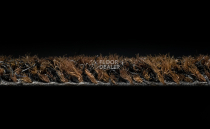 Forbo Coral Brush 5724 Chocolate Brown фото 3 | FLOORDEALER