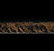 Forbo Coral Brush 5724 Chocolate Brown фото 3 | FLOORDEALER