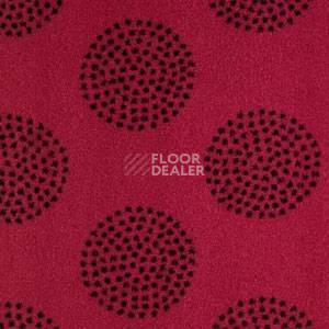 Ковролин Design Concept - Blossom 550 фото 1 | FLOORDEALER