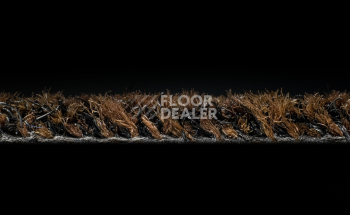 Forbo Coral Brush 5724 Chocolate Brown фото 3 | FLOORDEALER
