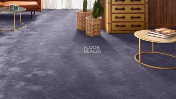 Vorwerk Exclusive 1060 Safira 3q52 фото 2 | FLOORDEALER