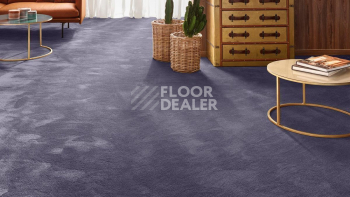 Vorwerk Exclusive 1060 Safira 3q52 фото 2 | FLOORDEALER