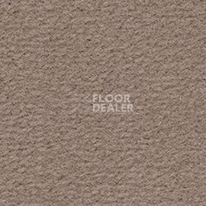 Ковролин Balsan Altitude Altitude 740 фото 1 | FLOORDEALER