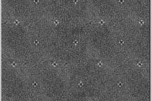 Ковролин AW Animo AW Animo 97 фото  | FLOORDEALER