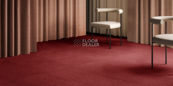 AW Maxima 12 фото 2 | FLOORDEALER