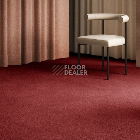 AW Maxima 12 фото 2 | FLOORDEALER