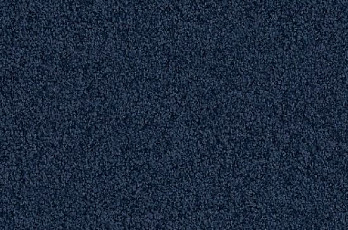 Ковролин Vorwerk Viola 3m62 фото 1 | FLOORDEALER