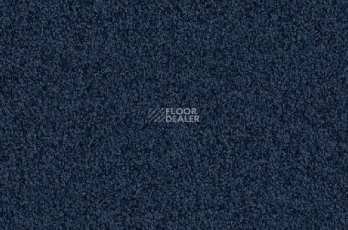 Ковролин Vorwerk Viola 3m62 фото 1 | FLOORDEALER