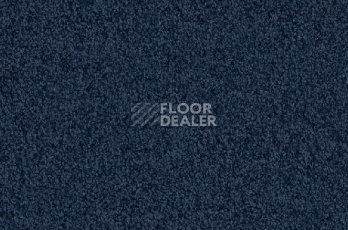 Ковролин Vorwerk Viola 3m62 фото 1 | FLOORDEALER