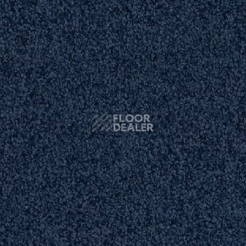 Ковролин Vorwerk Viola 3m62 фото 1 | FLOORDEALER