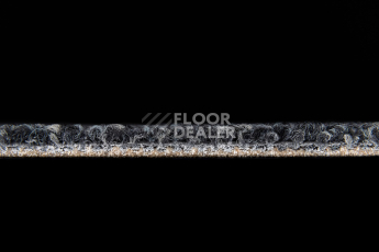 Desso Recharge ac 41 9990 фото 6 | FLOORDEALER