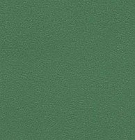 Линолеум Graboflex Start  Plus 4000-660-3 фото 1 | FLOORDEALER