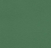 Линолеум Graboflex Start  Plus 4000-660-3 фото 1 | FLOORDEALER